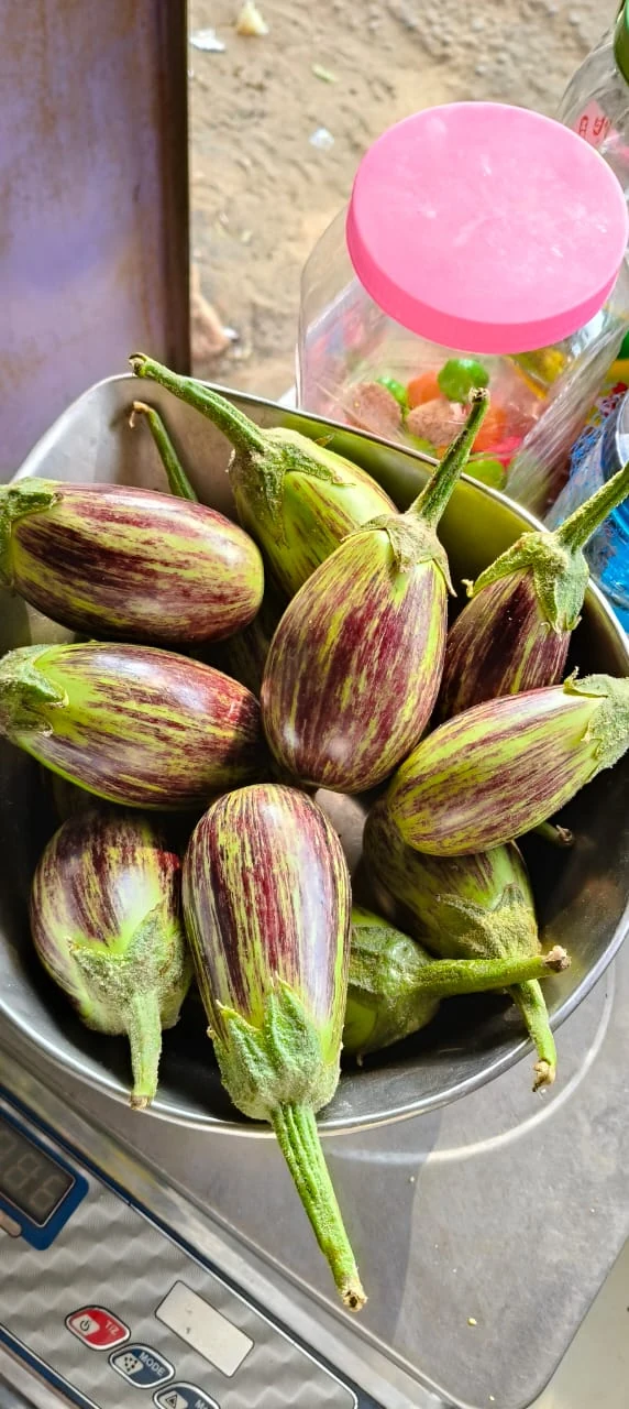 Vegetable Harvest & Market Readiness