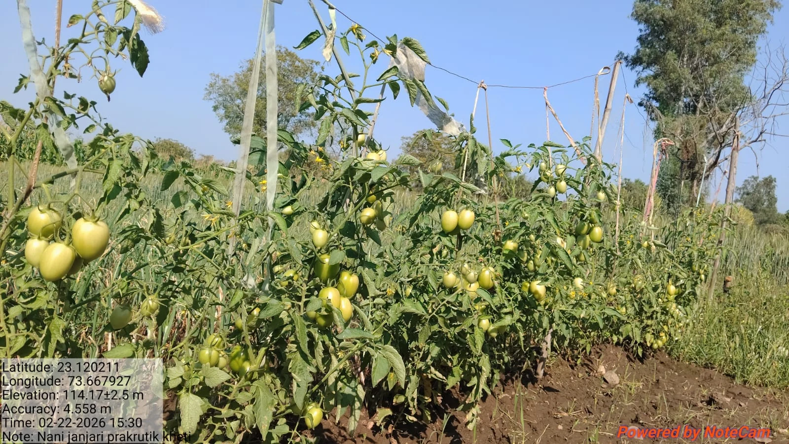 Crop Development Support